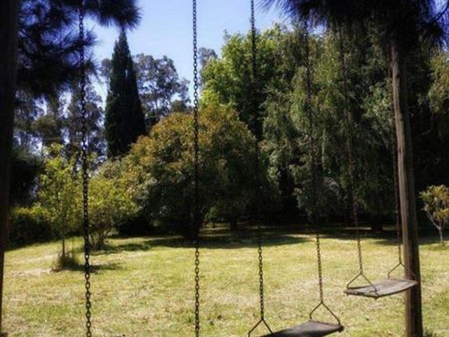 place photo 24
