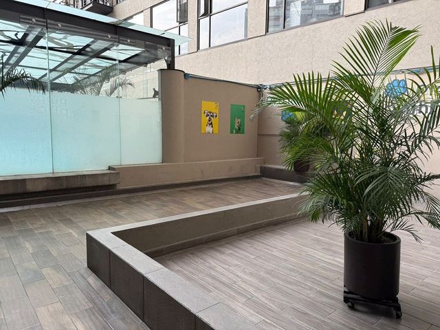 place photo 31