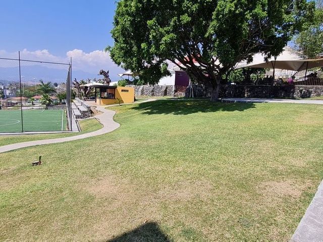 place photo 37