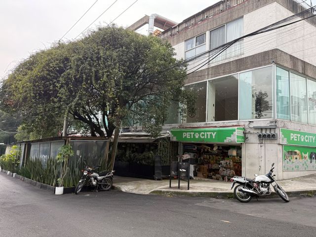 place photo 4