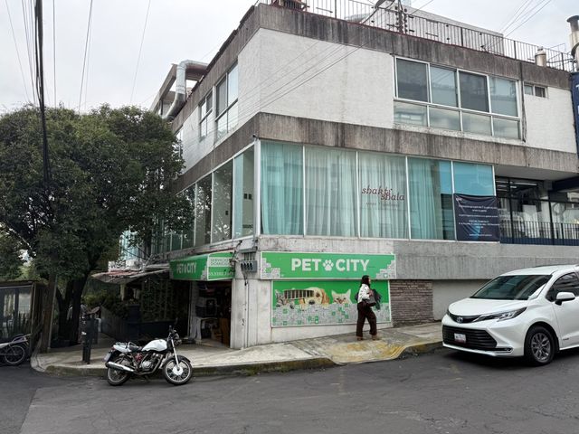 place photo 9