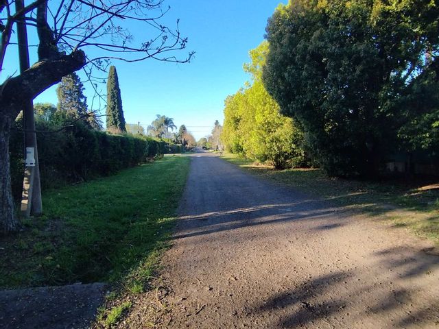 place photo 22
