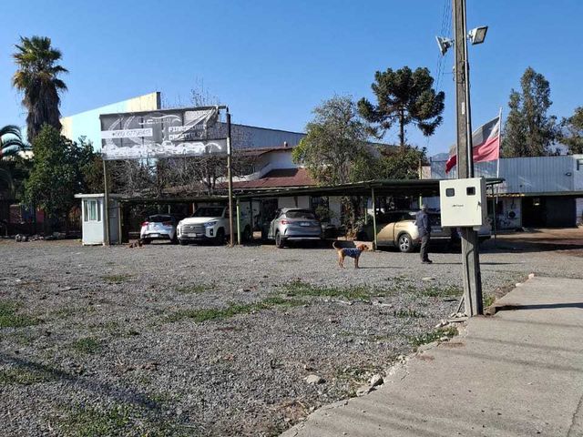 place photo 22