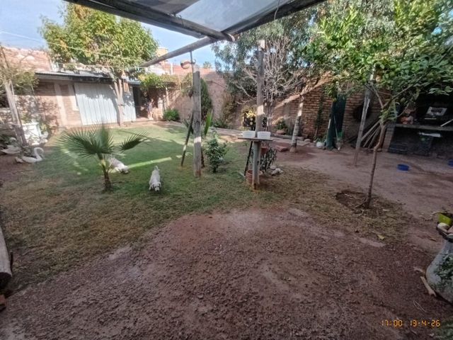 place photo 21