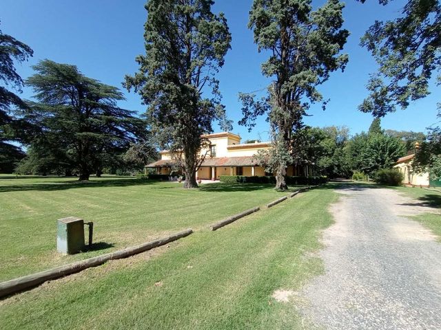 place photo 38