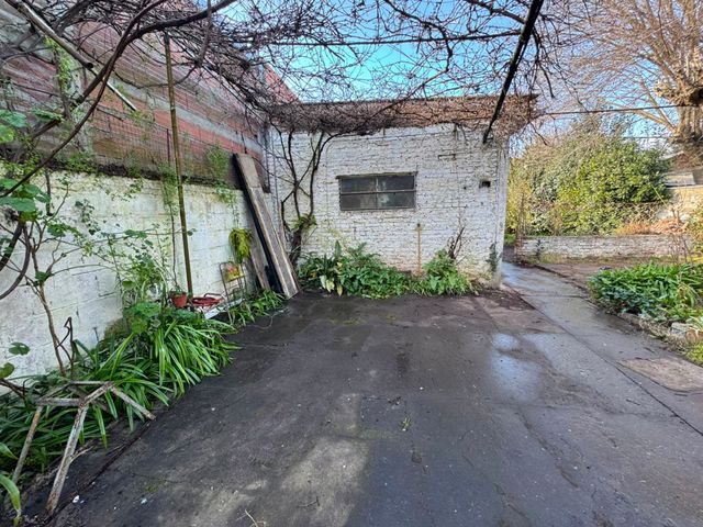 place photo 17