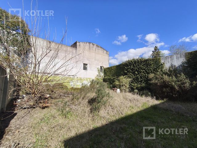 place photo 42
