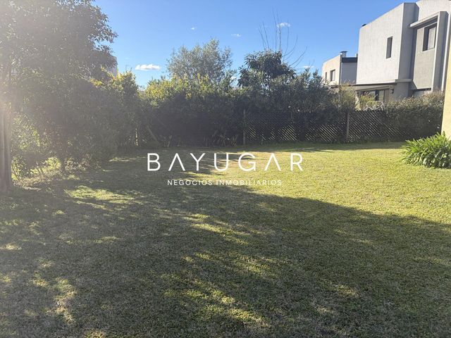 place photo 61