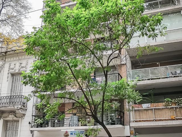 place photo 37