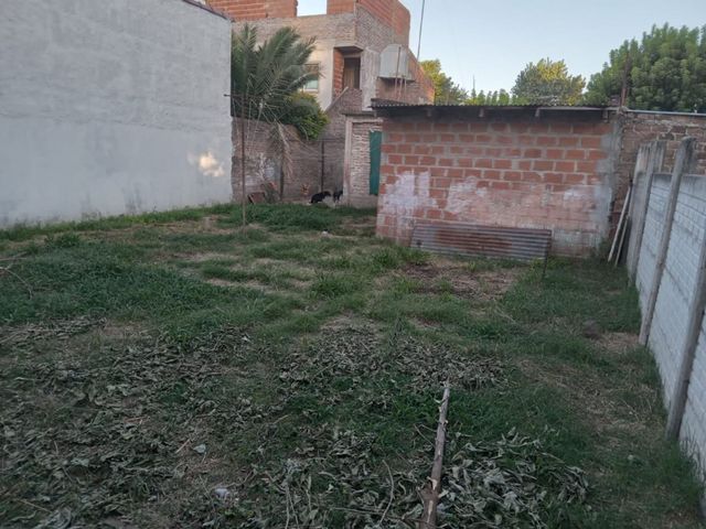 place photo 23