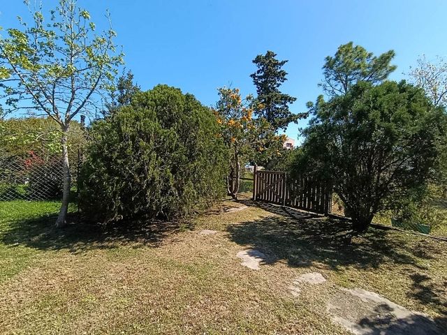 place photo 37
