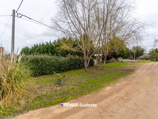 place photo 34