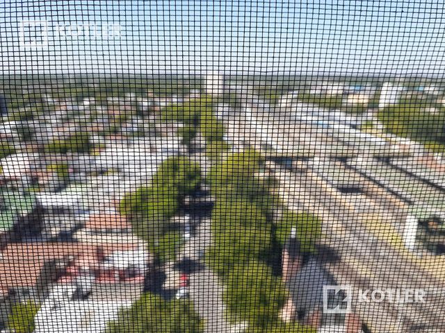 place photo 32