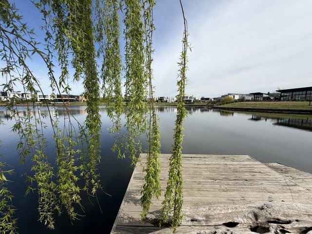 place photo 44