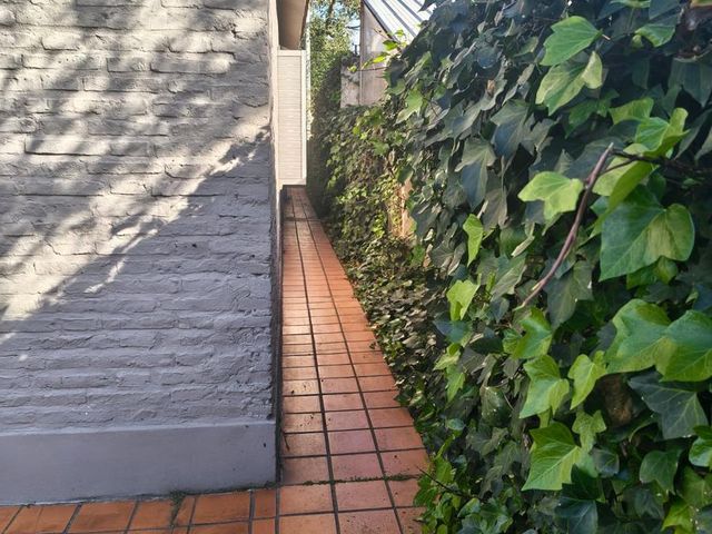 place photo 47
