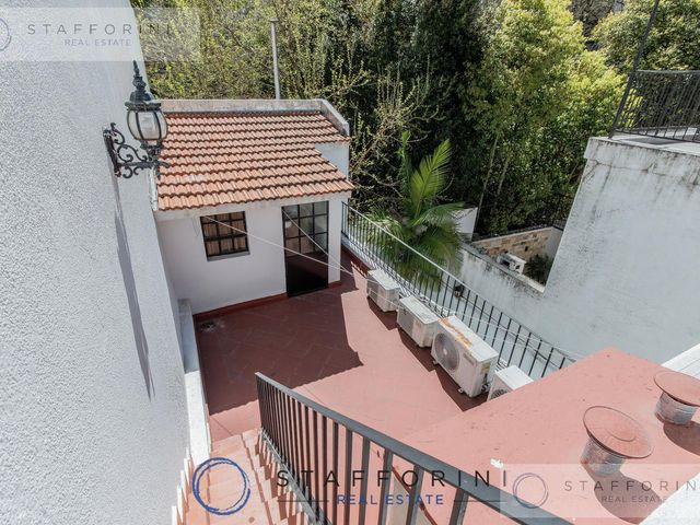 place photo 61
