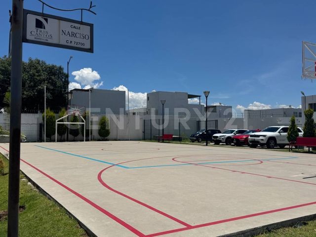 place photo 47