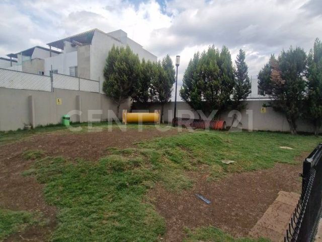 place photo 49