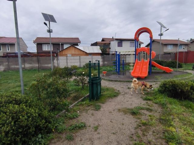 place photo 7