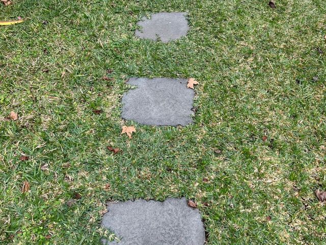 place photo 47