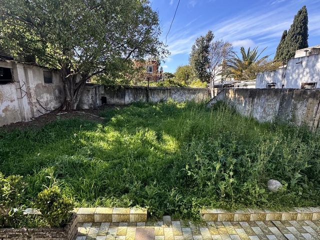 place photo 35