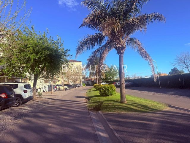 place photo 16
