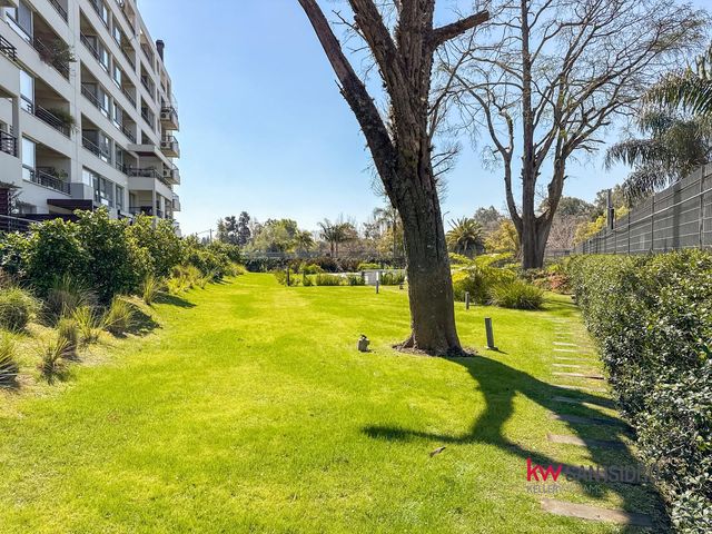 place photo 60