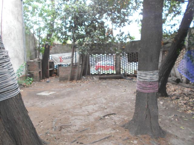 place photo 39