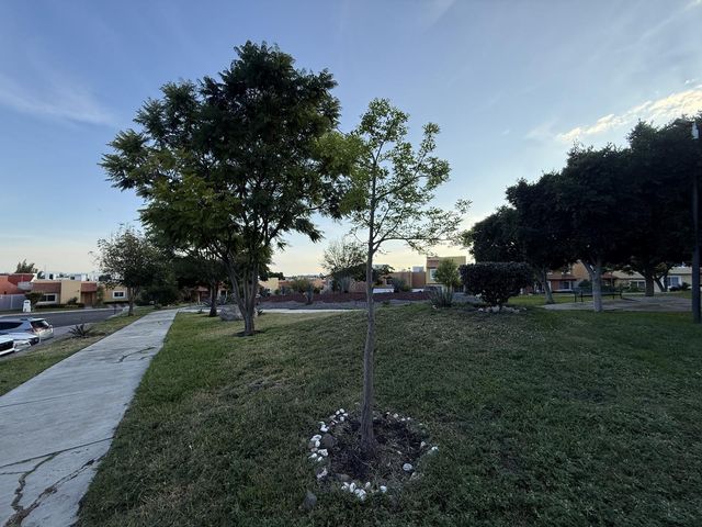 place photo 27