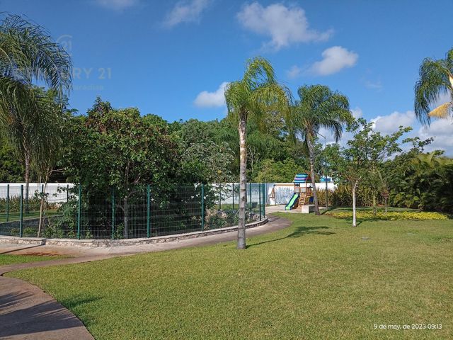 place photo 24
