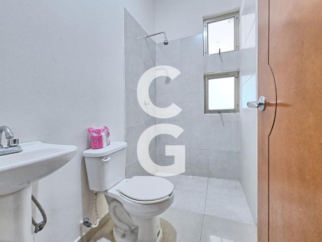place photo 37