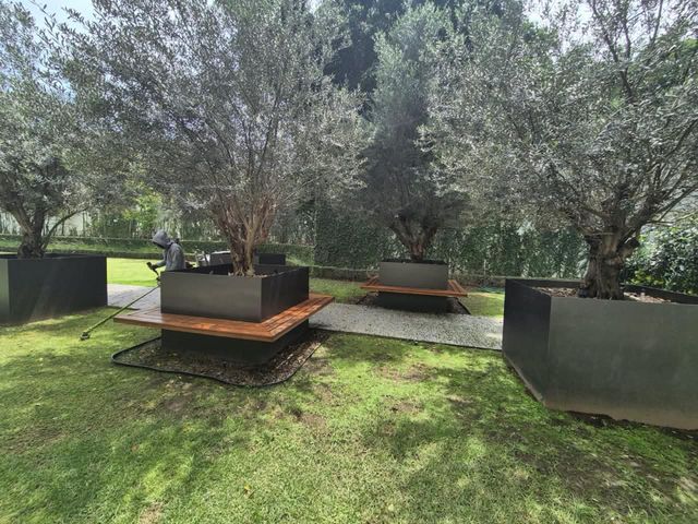 place photo 28