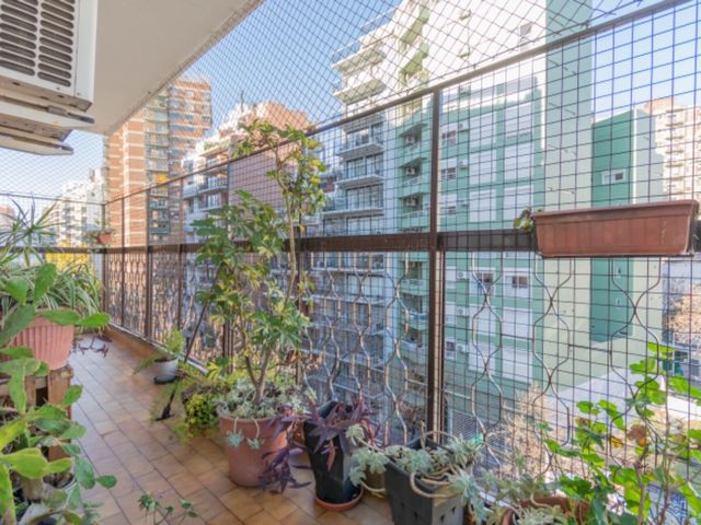 place photo 27