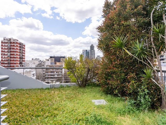 place photo 27