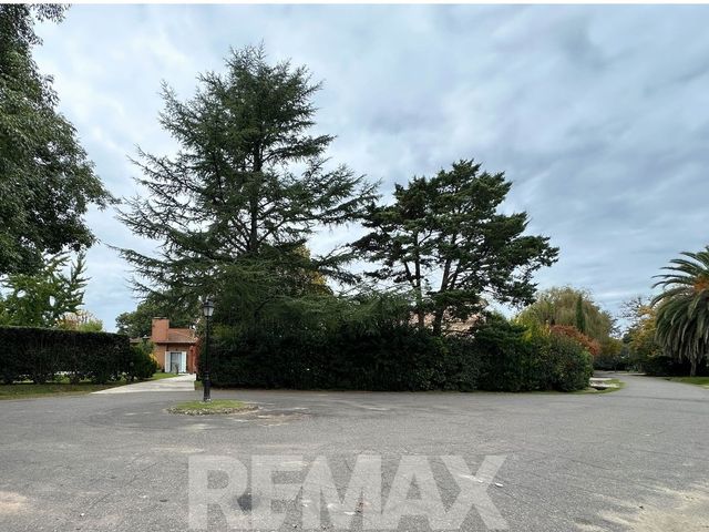 place photo 47
