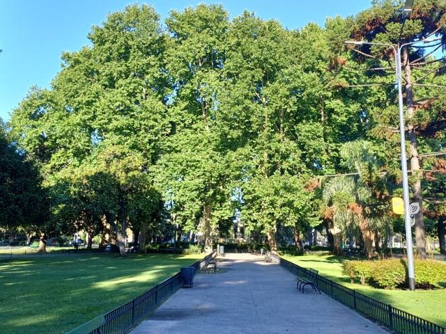 place photo 23