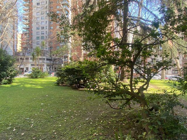 place photo 40