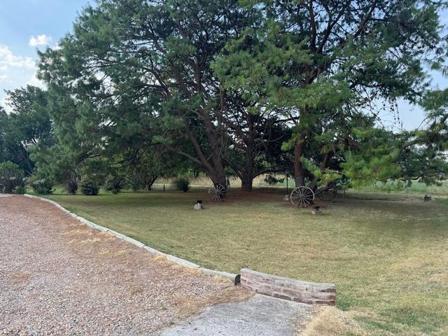 place photo 32