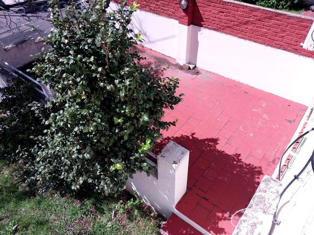place photo 34