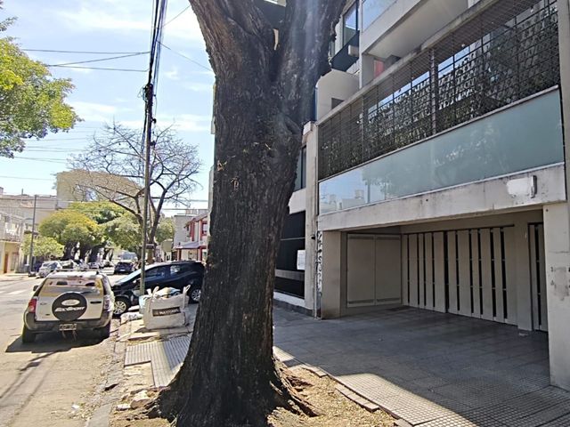 place photo 33