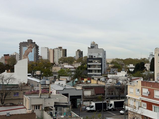 place photo 14