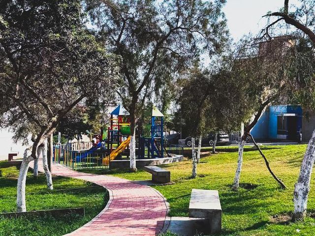 place photo 21