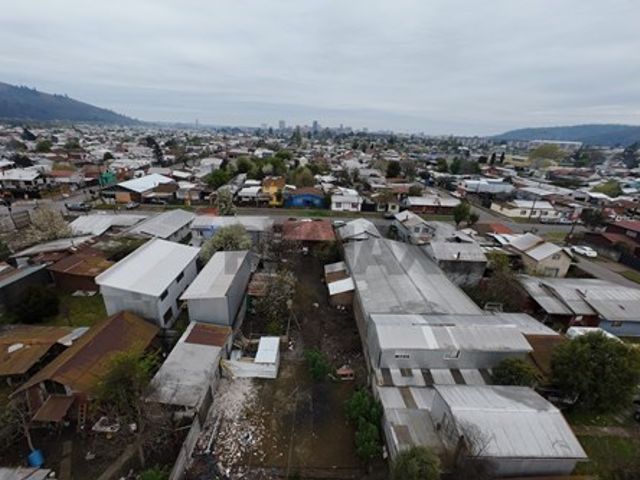 place photo 24