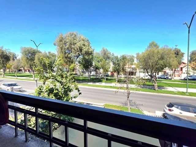 place photo 40