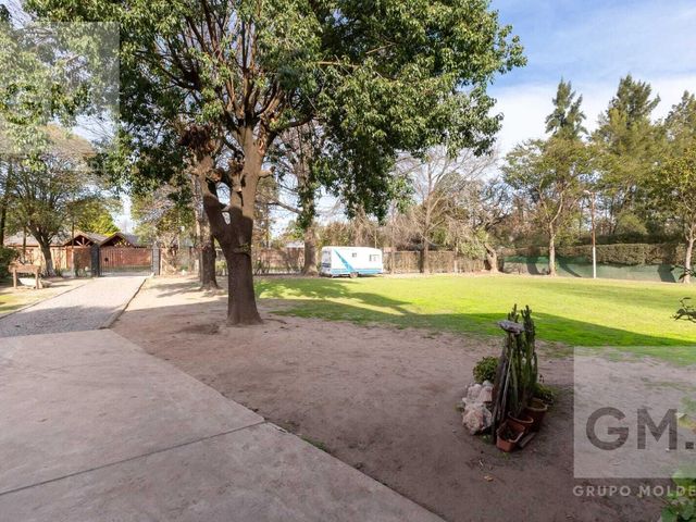 place photo 38