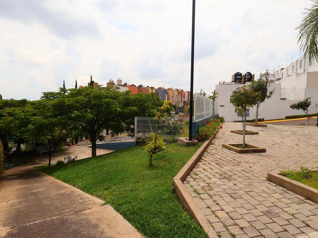 place photo 18