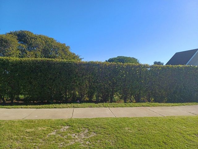 place photo 11