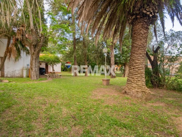 place photo 45