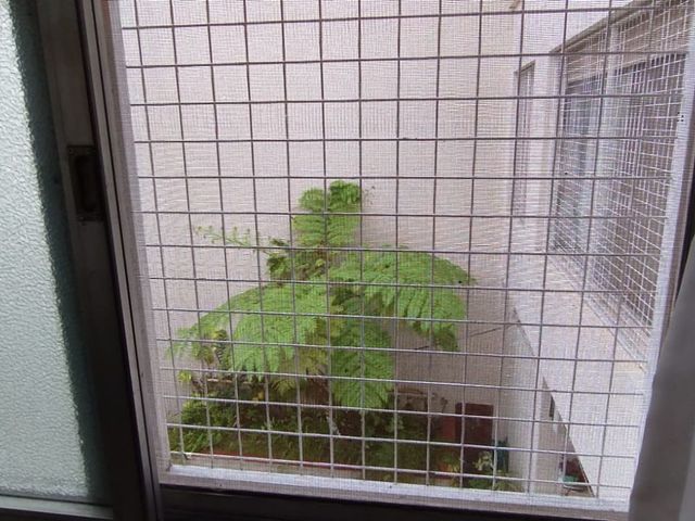 place photo 26