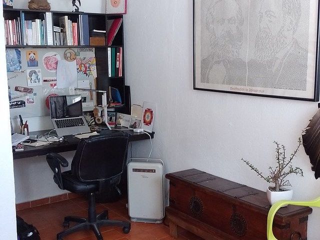 place photo 24